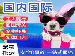 哈尔滨平房空运代理国际宠物托运 【国
